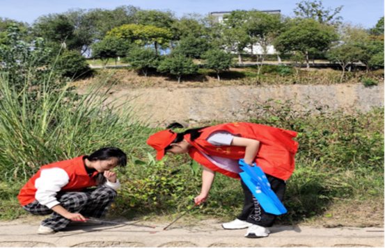 说明: 微信图片_20241015152416