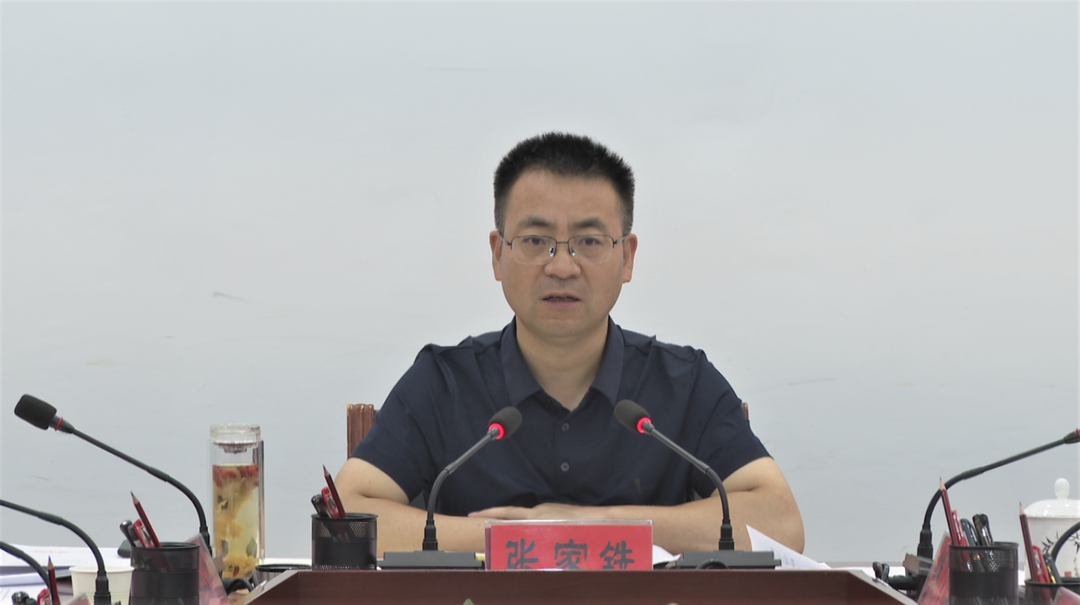 张家铣专题研究智慧中方项目建设工作